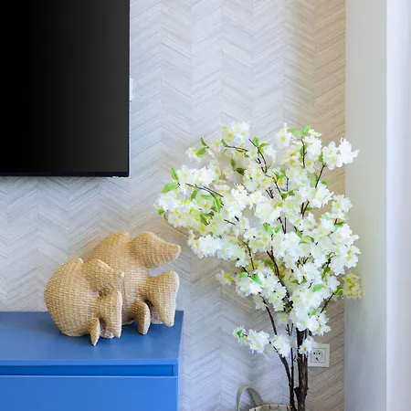 Apartment Wintowinrentals Premium In Ocean House